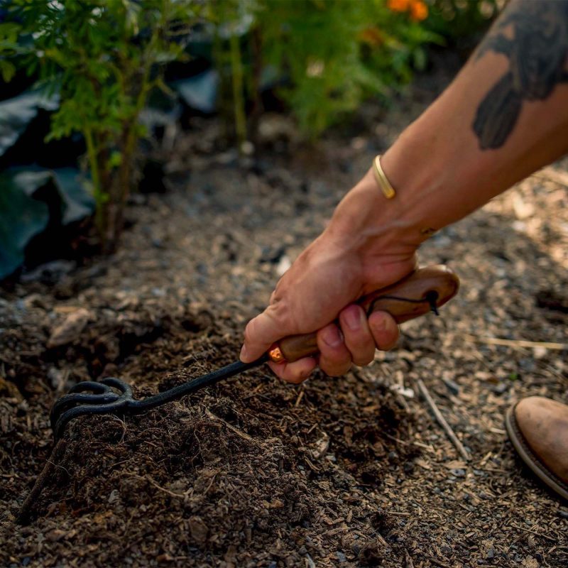 Cultivator - Image 7