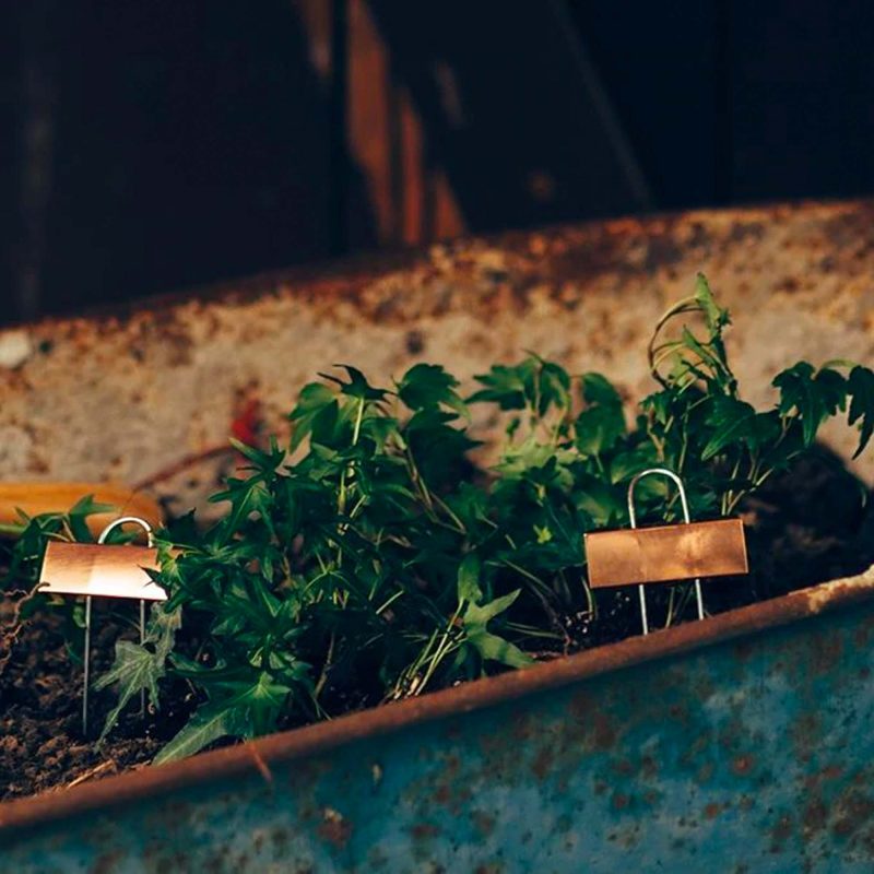 Copper Plant Markers - Image 4