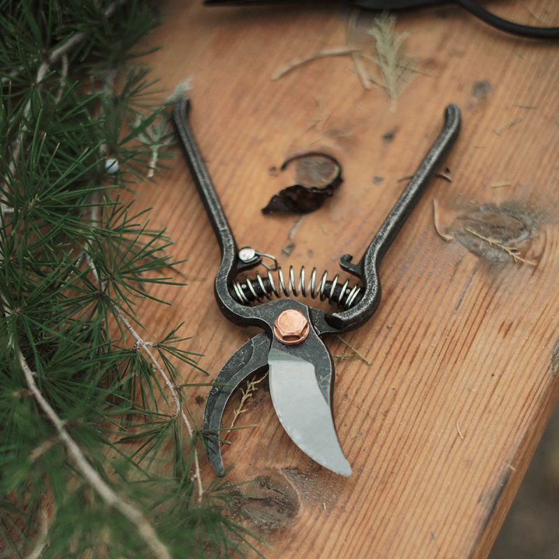 Pruner - Image 9