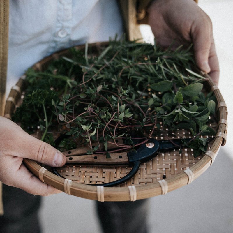 Garden Scissors - Image 10