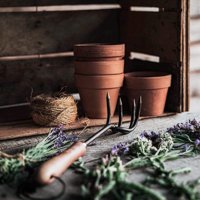 Backyard Gardener Set - Image 5