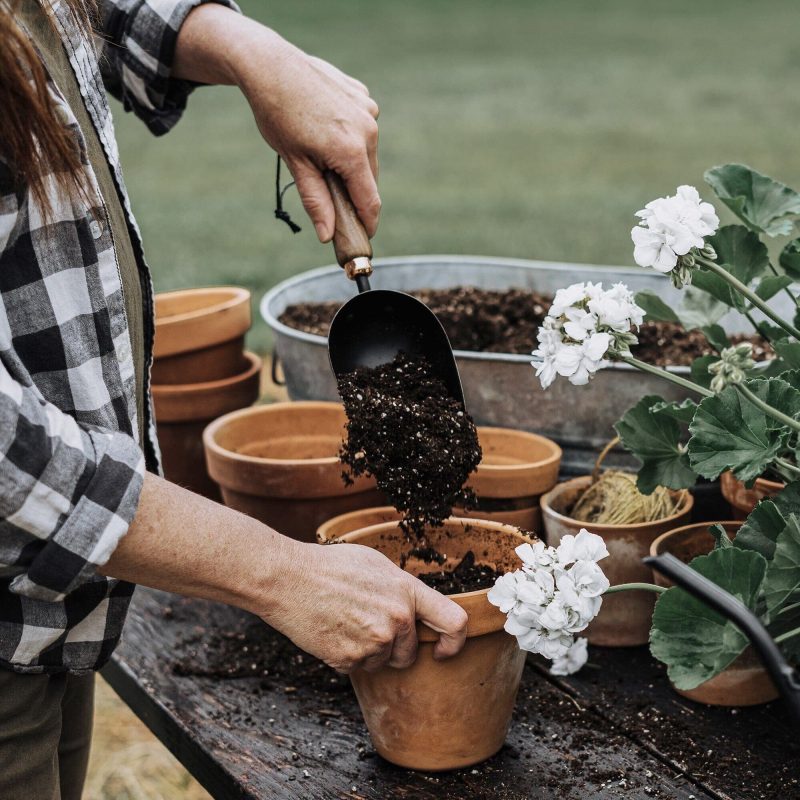 Backyard Gardener Set - Image 4