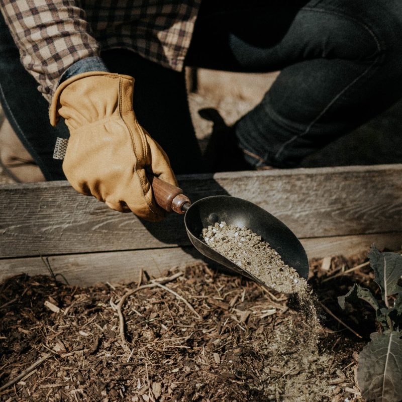 Garden Scoop - Image 7