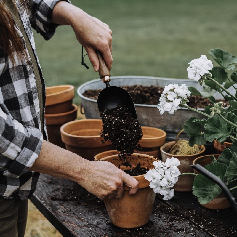 Garden Scoop - Image 8