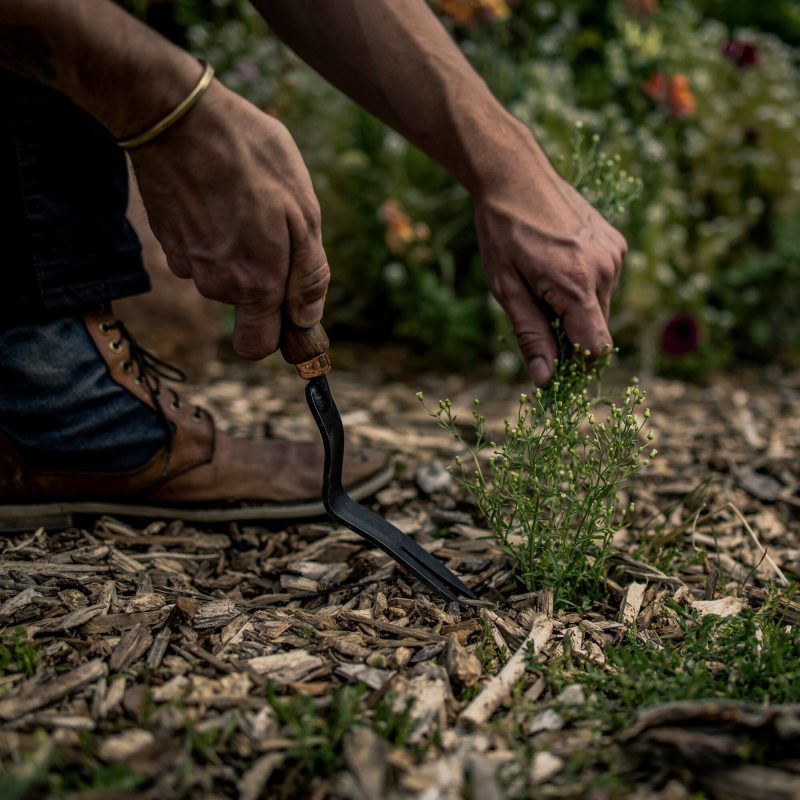 Dandelion Weeding Fork - Image 4