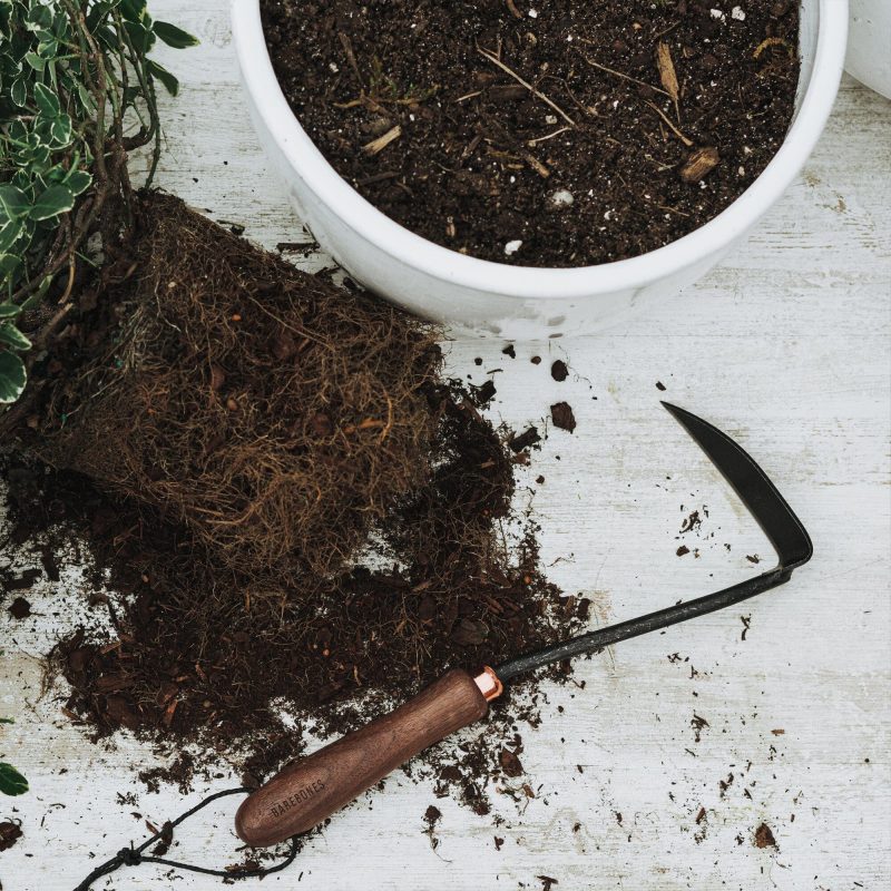 Garden Tool Set - Image 4