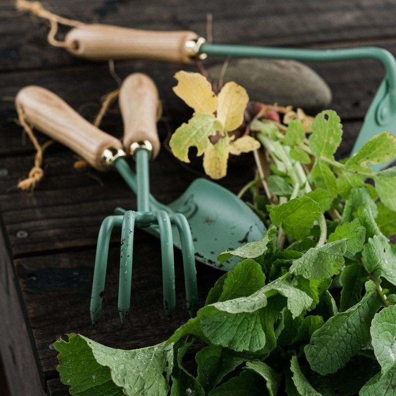 Cultivator - Image 10