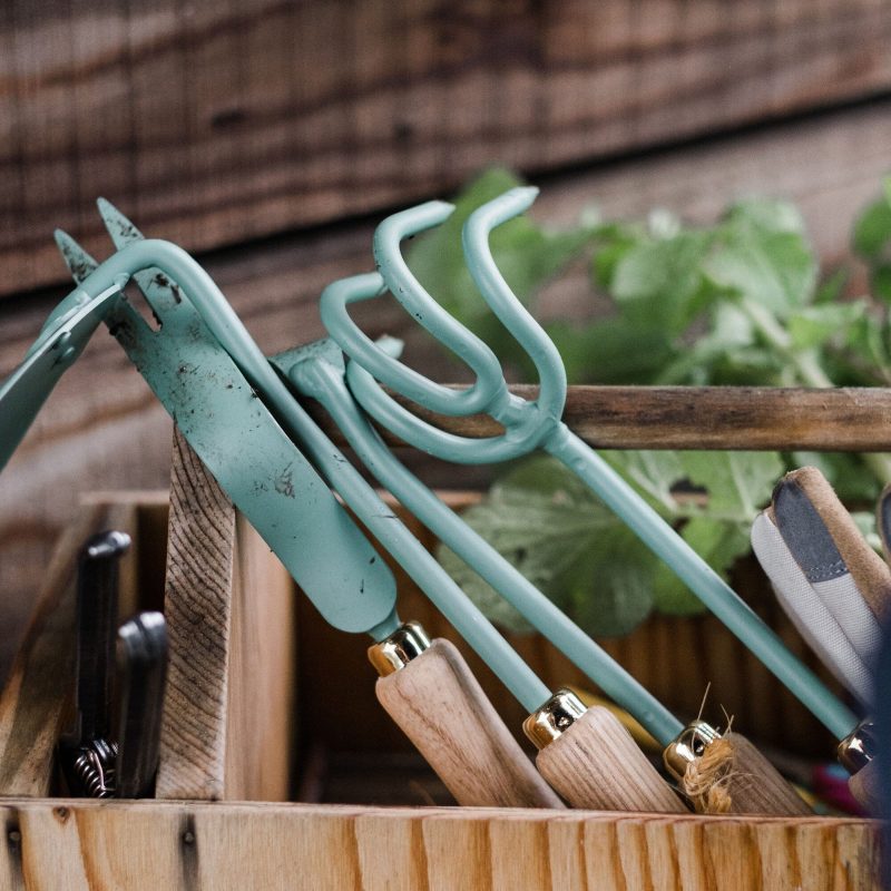 Cultivator - Image 13