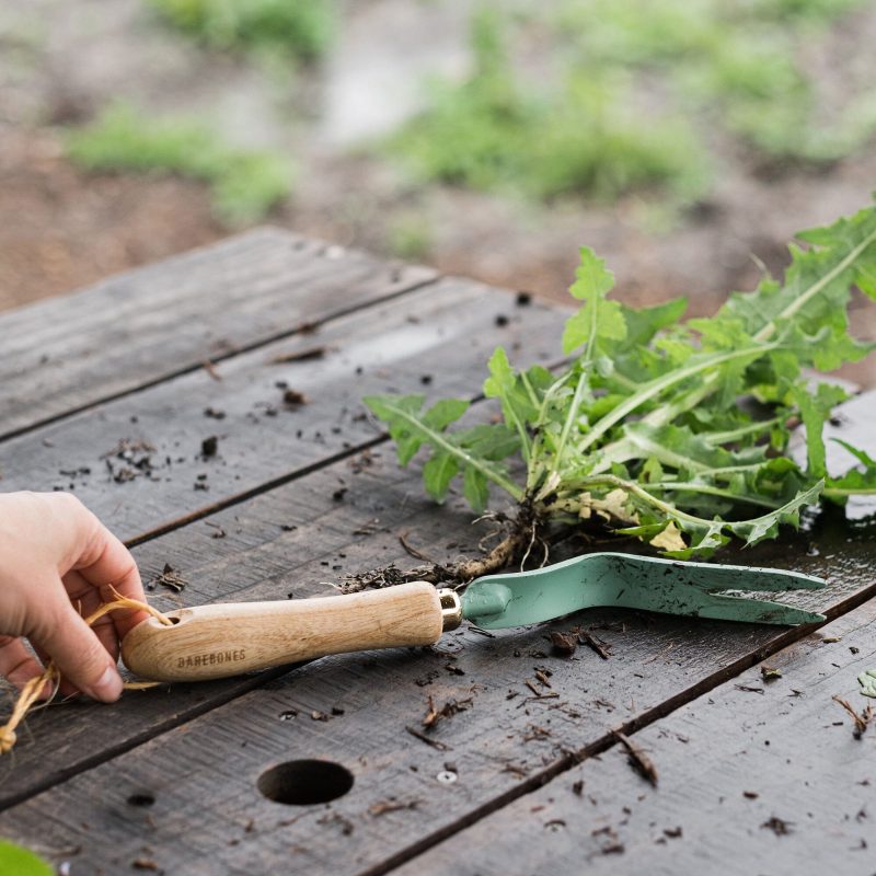 Dandelion Weeding Fork - Image 12