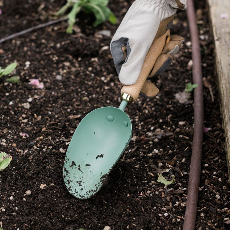 Garden Scoop - Image 11