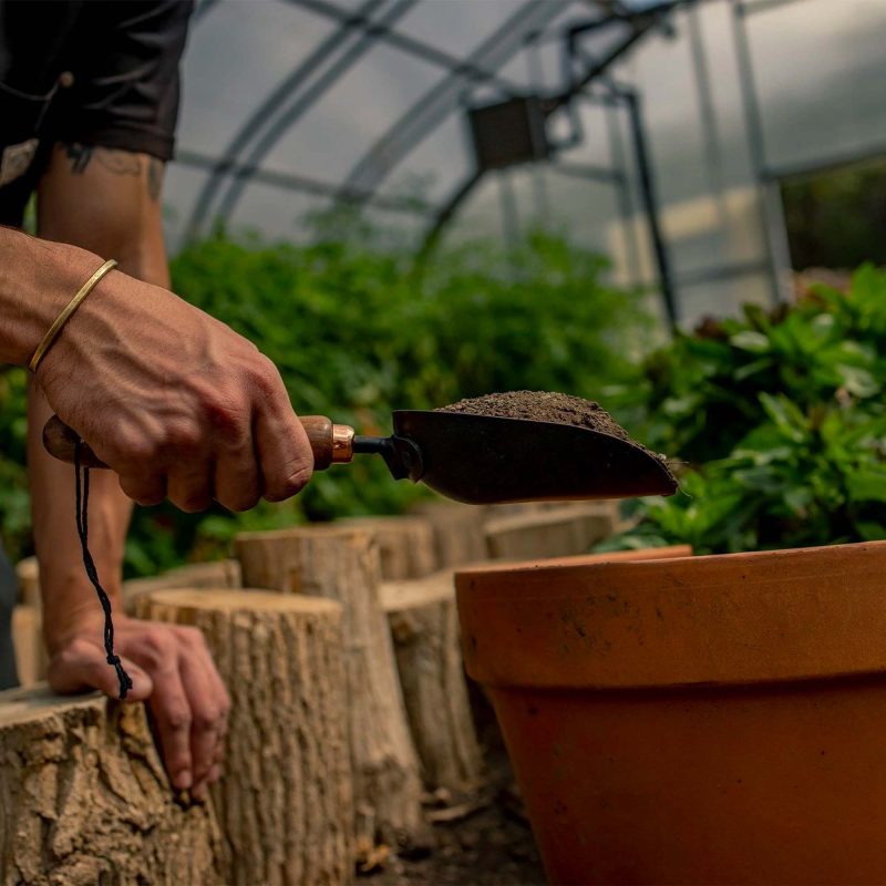 Garden Scoop - Image 5