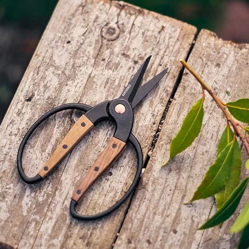 Garden Scissors - Image 11