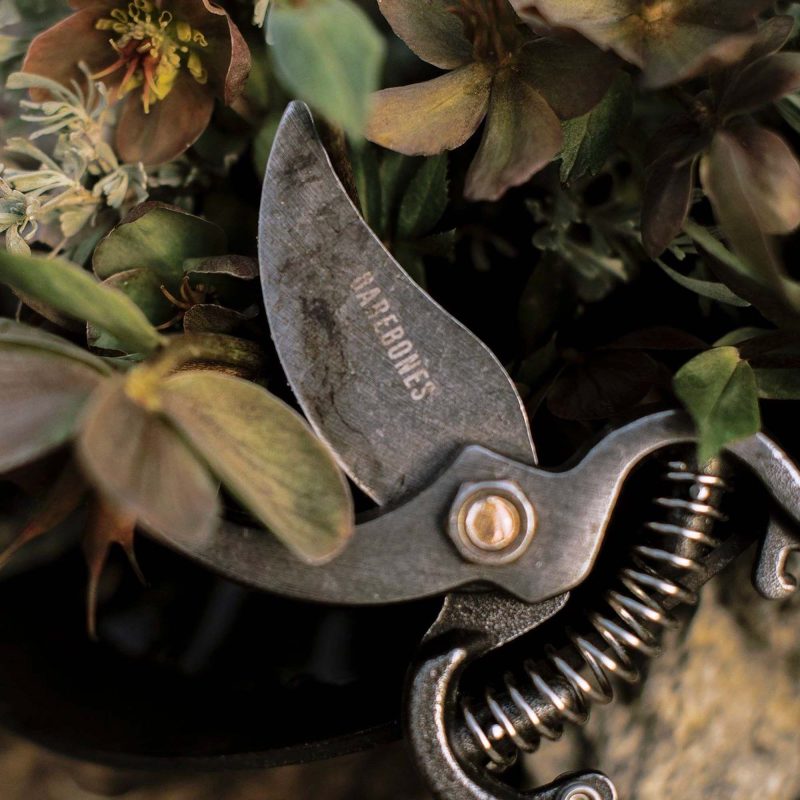 Pruner - Image 7