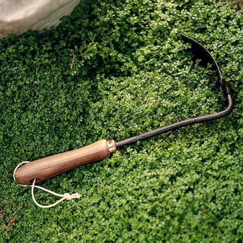 Square Hand Hoe - Image 5