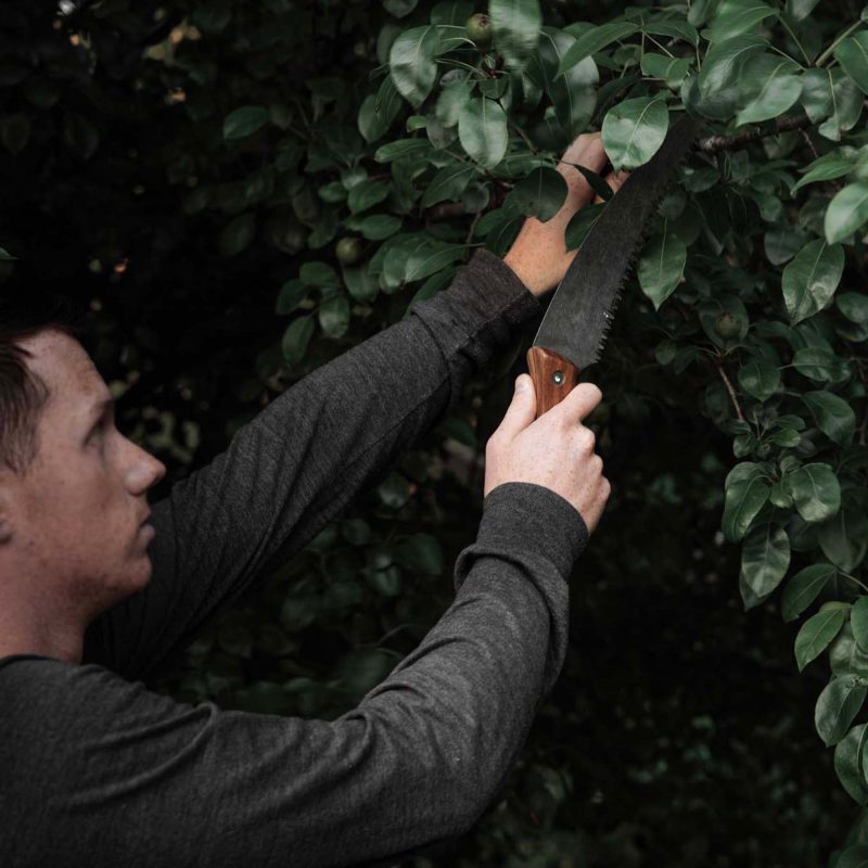 Garden Pruning Bundle - Image 5