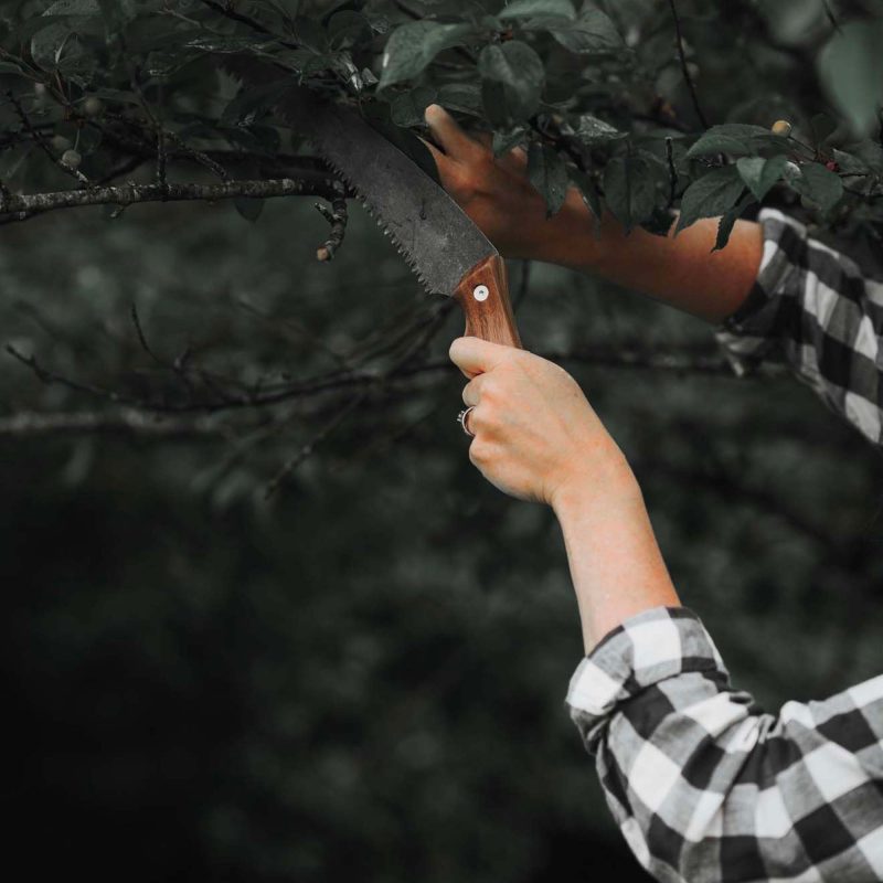 Timber Saw - Image 3